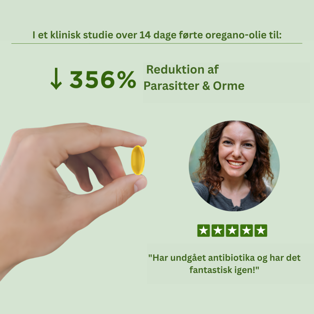 Oil of Oregano - softgels kosttilskud