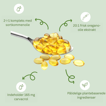 Oil of Oregano - softgels kosttilskud