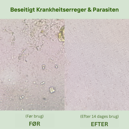 Oil of Oregano - softgels kosttilskud