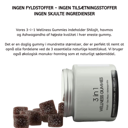 Naturlig 3-in-1 Wellness Gummies